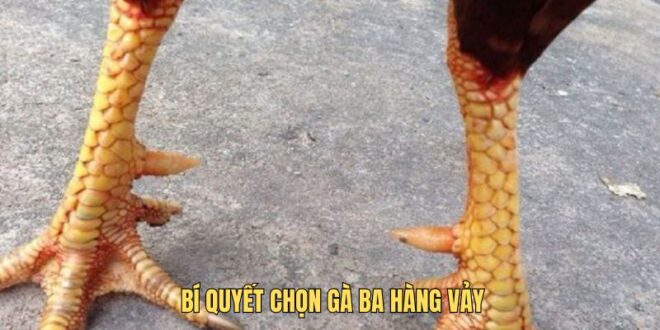 ga ba hang vay